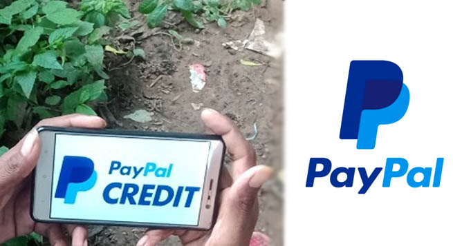 PayPal to shutter India domestic biz