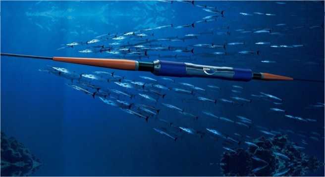 Undersea cable project sinks after US red flags China company