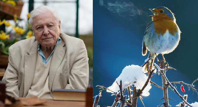 Sony BBC Earth lines up Sept. adventure, science treat