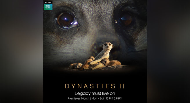 Sony BBC Earth launches ‘Dynasties’ S2