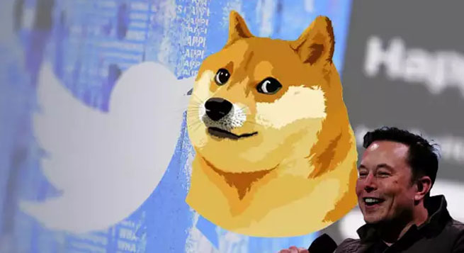 Musk replaces Twitter's blue bird with 'Doge' meme
