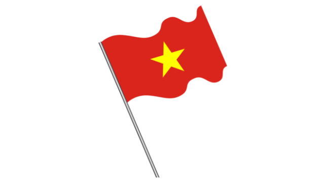 Vietnam mulls SM users' mandatory ID verification