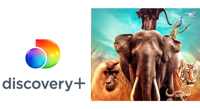 Discovery+ announces content slate for Environment Day