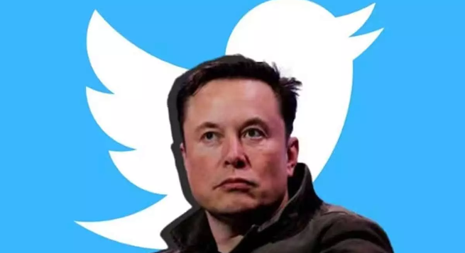 Twitter sees a 50% drop in environmentalist users after Musk’s takeover