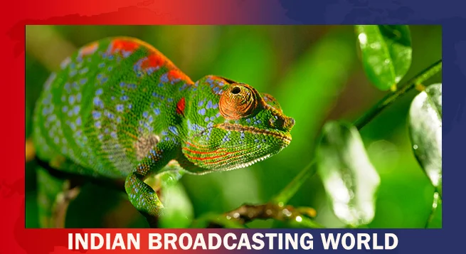 Sony BBC Earth in April offers diverse programming