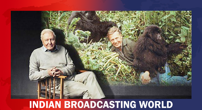 David Attenborough