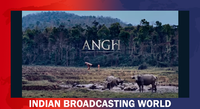 latest-news